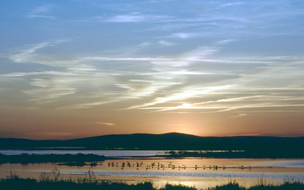 Vila L'Enclos Du Micocoulier Boissières Exteriér fotografie