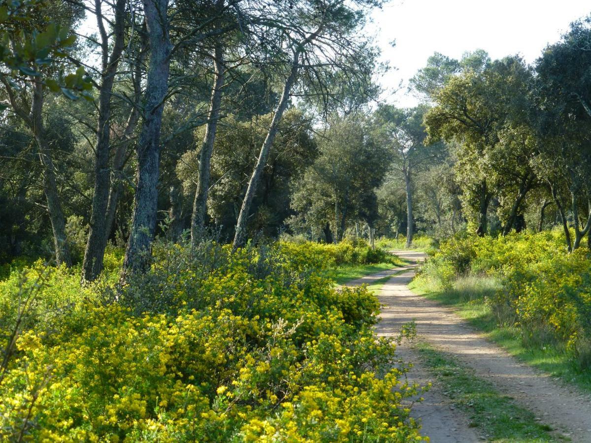 Vila L'Enclos Du Micocoulier Boissières Exteriér fotografie