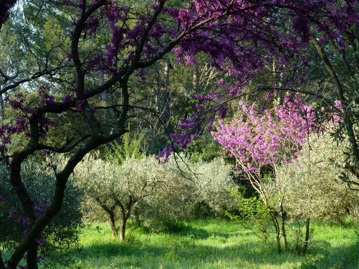 Vila L'Enclos Du Micocoulier Boissières Exteriér fotografie